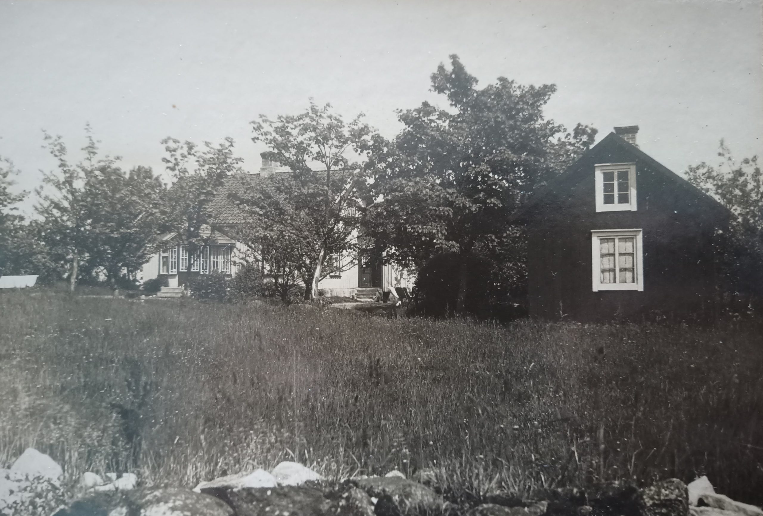 Kartegården bland fruktträd med brygfghuset i förgrunden.