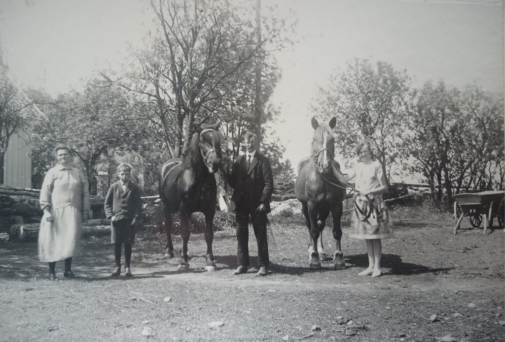 Nils familj (Föräldrar, syskon). Två hästar